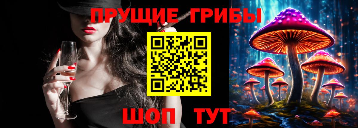 Клинцы  Галлюциногенные грибы прущие грибы  Вход с VPN 